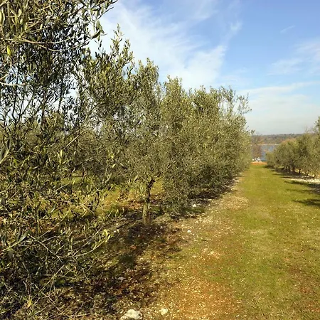 Holiday home House Lena Porec